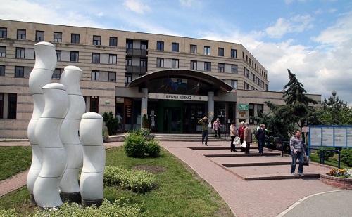 Új főigazgató a veszprémi kórház élén