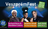 Új helyszínen a VeszprémFest
