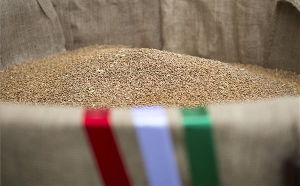 Nemeshanyban öntötték össze az ünnepi kenyér búzáját