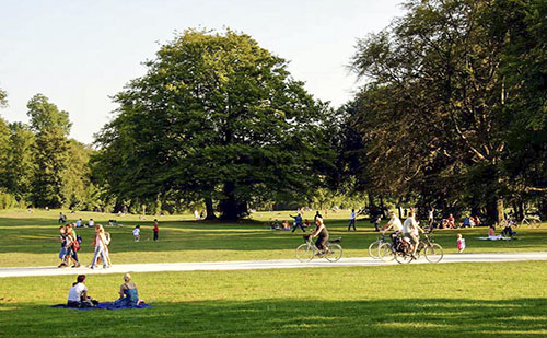 Veszprémben új parkot hoznak létre a belvárosban